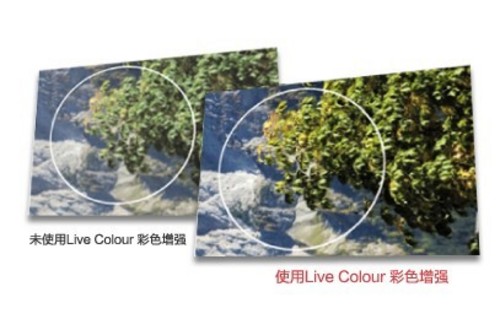 Live Colour ɫ(qing)