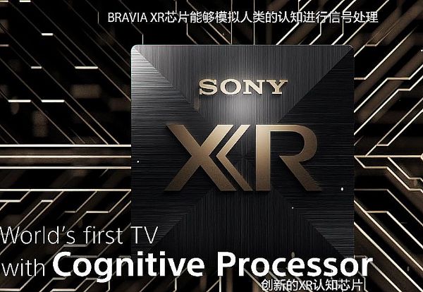 ᲻ߌ·:J(rn)֪оƬCognitive Processor XR