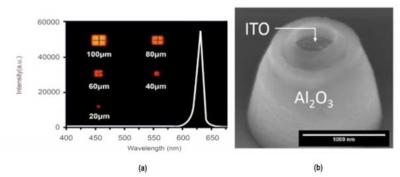 נ_l(f)ȫMicro LEDg(sh)